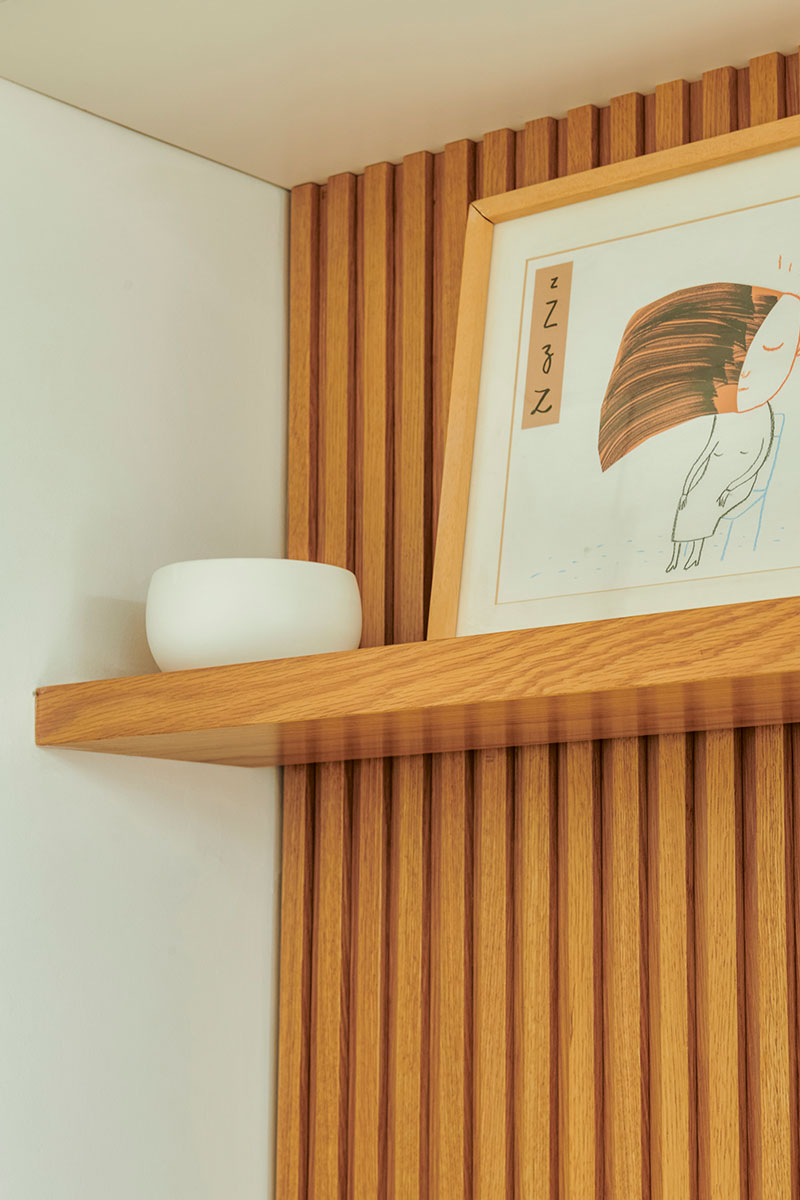 Proyecto santos_dumont